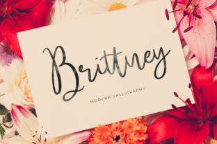 Brittney: A Modern Calligraphy Font for Editorial Design
