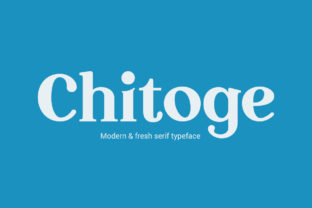 Chitoge: A Bold, Elegant Serif Font for Real Small Businesses