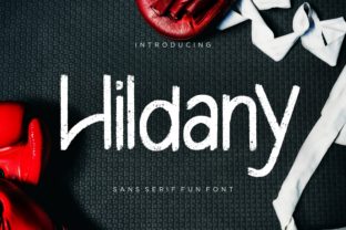 Hildany: A Cheerful Sans Serif Font That Works