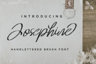 Josephine: A Handwritten Script Font for Digital Brand Warmth