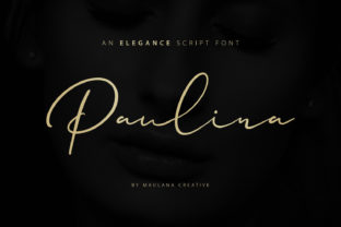 Paulina: A Sweet, Cool Handwritten Font for Real Branding