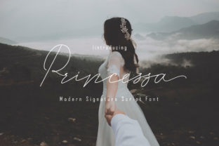 Princessa: A Romantic Script Font for Scroll-Stopping Campaigns