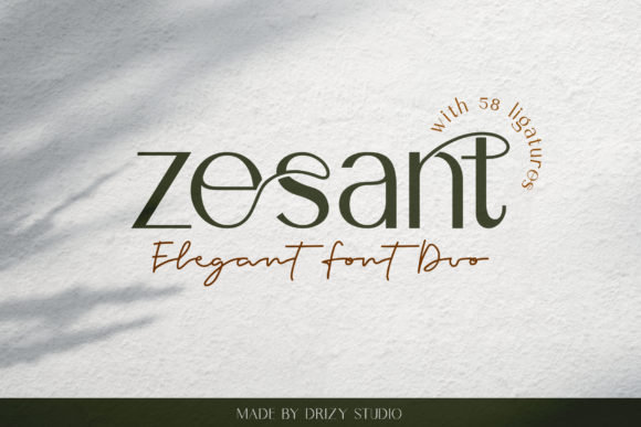 Zesant: A Modern Sans Serif Font for Campaign Clarity